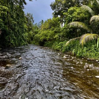 Waipio Valley Shuttle - Tours Near Me - Honokaa, Hawaii