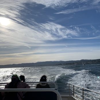 Discovery Whale Watch - Whale Watching Tours Near Me - Monterey, California