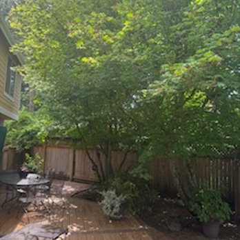 Jorge Landscaping & Tree Services - Landscaping Near Me - Belfair, Washington Jorge Landscaping & Tree Services - Landscaping Near Me - Belfair, Washington