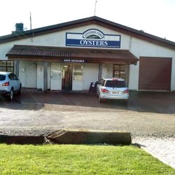 Clevedon Coast Oysters - Best oysters in Auckland !