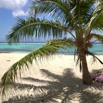 Spotts Beach - Pretty palms against the backdrop of turquoise waters - Beaches Near Me - Grand Cayman, Kentucky Spotts Beach - Pretty palms against the backdrop of turquoise waters - Beaches Near Me - Grand Cayman, Kentucky