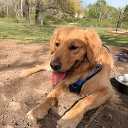Fayetteville Iams Dog Park