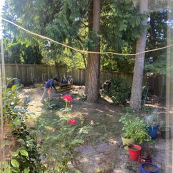 Angels Tree Service