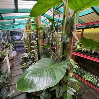 Jungle Box - Nurseries & Gardening Near Me - Phoenix, Arizona