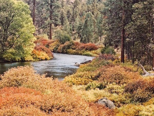 Tumalo State Park by null