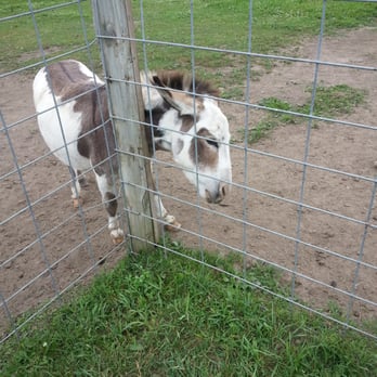 Summerfield Zoo - Zoos Near Me - Belvidere, Illinois