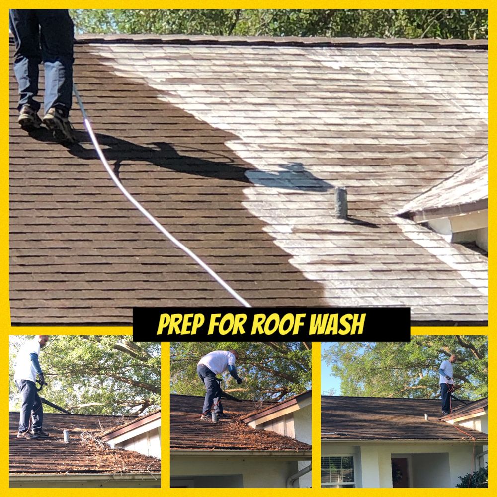 Slide of Loyal Exterior Wash