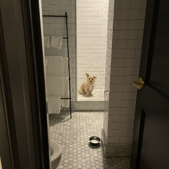Hasbrouck House - He was obsessed with the bathroom because of the heated floors - Hotels Near Me - Stone Ridge, New York