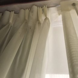Mold on the curtains Mold on the curtains