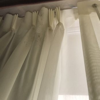 Quality Inn & Suites - Mold on the curtains - Hotels Near Me - Holland, Michigan Quality Inn & Suites - Mold on the curtains - Hotels Near Me - Holland, Michigan