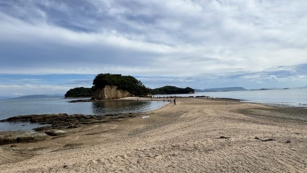 Shodoshima International Hotel by null