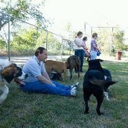South Ogden City Hall - More dog park