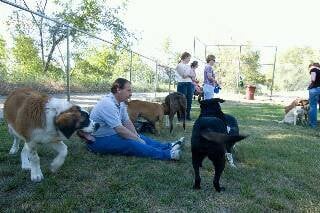 South Ogden City Hall - social services organization in South Ogden, UT