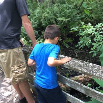 Audubon's Corkscrew Swamp Sanctuary - Checking out the wildlife!! - Hiking Near Me - Naples, Florida
