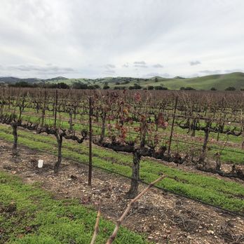 Firestone Vineyard - Wine Tasting Room Near Me - Los Olivos, California