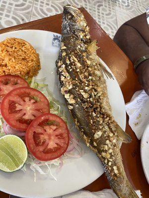 Restaurant El Cejas by null