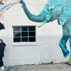 Elephant in the Room