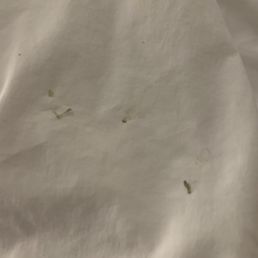 Boogers on the sheet