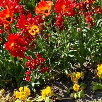 Guildford Castle - Spring gardens - Castles Near Me - Guildford, SRY