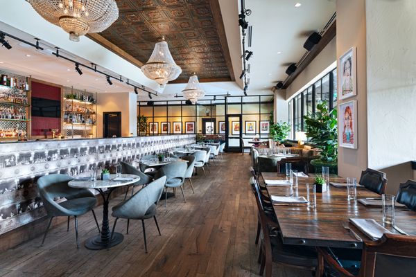 Group Therapy by null