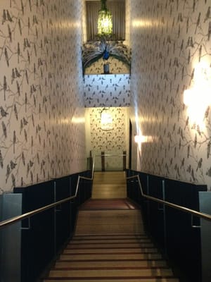 The Aviary Perth by null