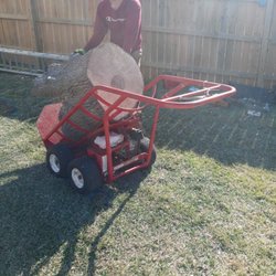 Whitney's Tree Care