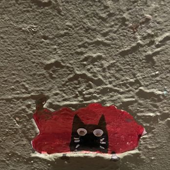 The Eleventh House - A black cat is always watching your every moves. :) - Coffee & Tea Near Me - Lafayette, Indiana The Eleventh House - A black cat is always watching your every moves. :) - Coffee & Tea Near Me - Lafayette, Indiana