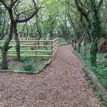 Suffolk Owl Sanctuary - Pretty picnic area - Zoos Near Me - Stowmarket, SFK