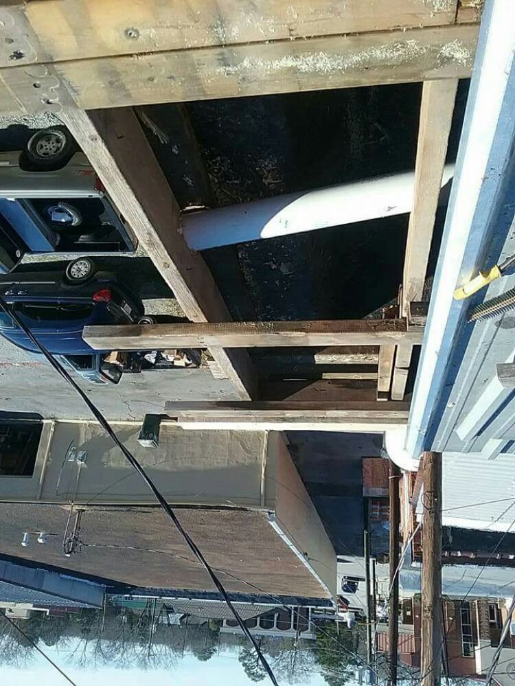 Slide of Brownconst334