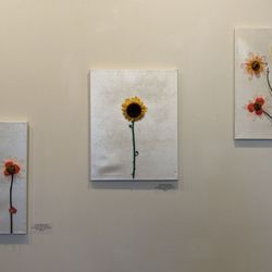 Belskie Museum of Art & Science