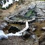Photo of Trail Creek Hot Springs