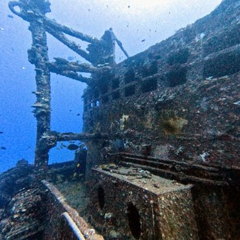Trident Adventures - Dive Shops Near Me - Honolulu, Hawaii Trident Adventures - Dive Shops Near Me - Honolulu, Hawaii