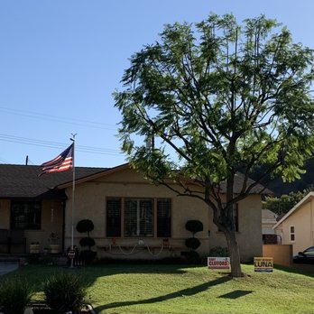 Acosta Tree Service - Tree Services Near Me Acosta Tree Service - Tree Services Near Me
