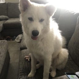 Zero boy after a couple months under Dr. Holly's care Zero boy after a couple months under Dr. Holly's care