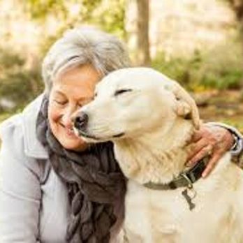 Resting Rainbow - Pet Cremation Services Near Me - Opa Locka, Florida Resting Rainbow - Pet Cremation Services Near Me - Opa Locka, Florida