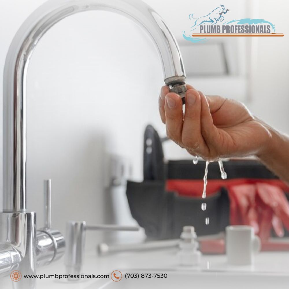 Slide of Plumb Professionals