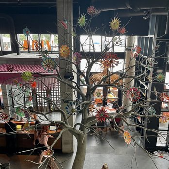 Mi Vida - Mexican Near Me - Washington, DC, District of Columbia