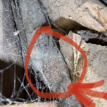 Encino’s Best Termite Solutions - So nasty termites - Pest Control Near Me - Encino, California Encino’s Best Termite Solutions - So nasty termites - Pest Control Near Me - Encino, California