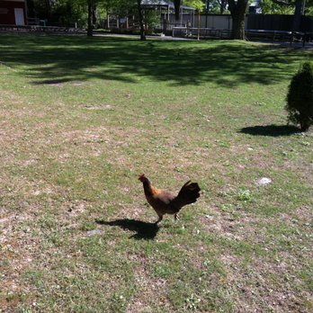 Henson Robinson Zoo - Zoos Near Me - Springfield, Illinois