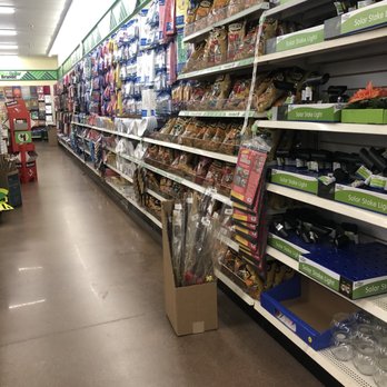 Dollar Tree - Discount Store Near Me - Chesapeake, Virginia