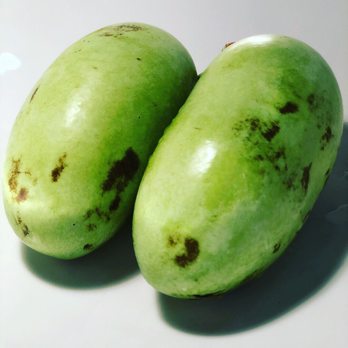 Foster Nutrition - I am a big fan of trying new foods. These are called paw paw's native to the Eastern seaboard and have a distinct tropical flavor. - Nutritionists Near Me - Portland, Oregon Foster Nutrition - I am a big fan of trying new foods. These are called paw paw's native to the Eastern seaboard and have a distinct tropical flavor. - Nutritionists Near Me - Portland, Oregon