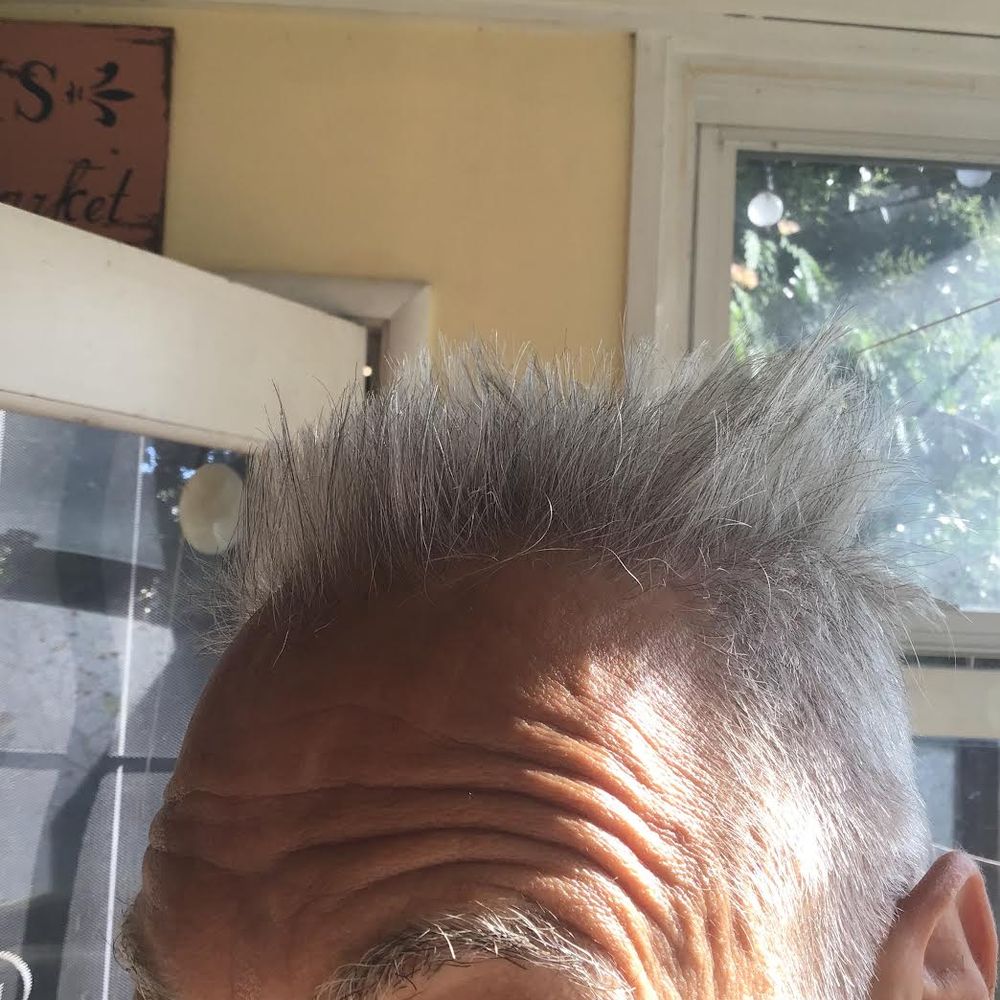 It'll Do - large tuft of long hair on the left side of my head - Barbers Near Me - Alameda, California