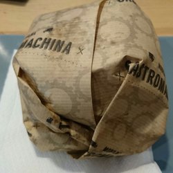 Gastromachina