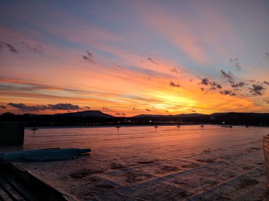 Palmetto Roofers Logo