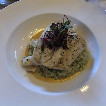 Mistral - Halibut over a shrimp risotto. - French Near Me - Boston, Massachusetts