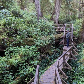 Rainforest Trail A & B - Hiking Near Me - Ucluelet, British Columbia Rainforest Trail A & B - Hiking Near Me - Ucluelet, British Columbia