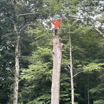 NXT Landscaping & Tree Service - Landscaping Near Me NXT Landscaping & Tree Service - Landscaping Near Me