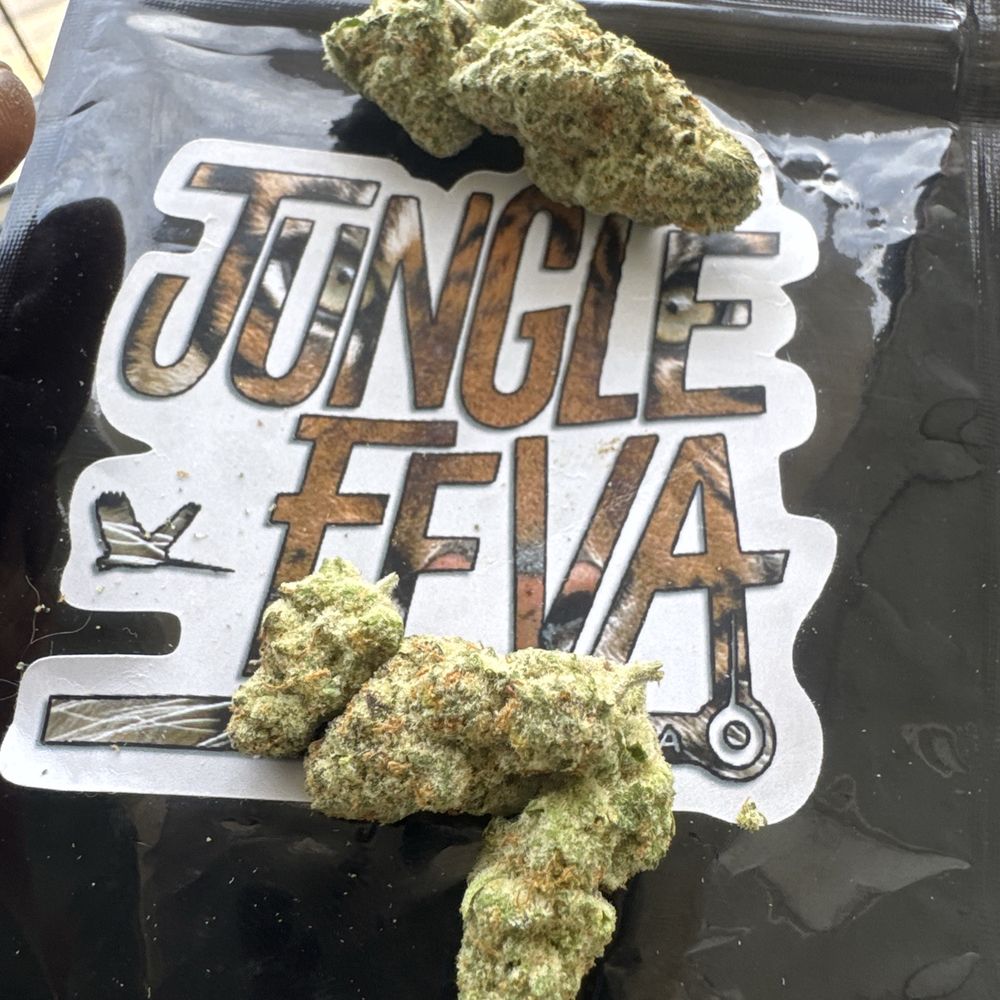 Jungle Feva - Cap Junky - Cannabis Dispensaries Near Me - Denver, Colorado