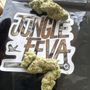 Photo of Jungle Feva