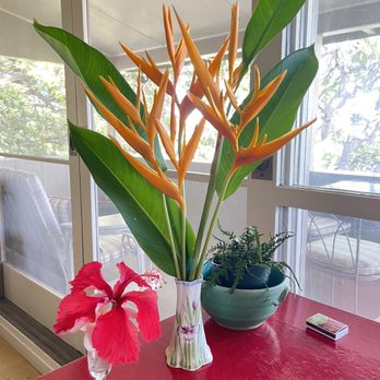 Diamond Head Bed and Breakfast - Beautiful flowers - Bed & Breakfast Near Me - Honolulu, Hawaii